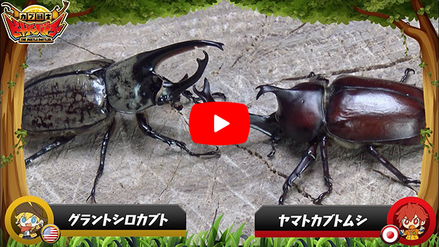 エブリスタ まちぶん in 鹿児島県伊佐市